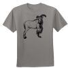 Adult 4.1 oz. Double Dry® Interlock T-Shirt Thumbnail